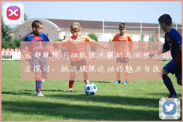 成都极限运动队技术解析与训练方法探讨，挑战极限运动的魅力与技巧