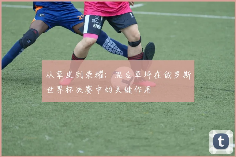 从草皮到荣耀：混合草坪在俄罗斯世界杯决赛中的关键作用